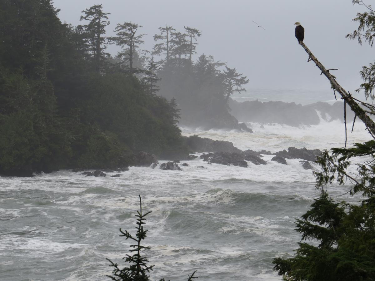 He-Tin-Kis Lodge Ucluelet Exterior photo